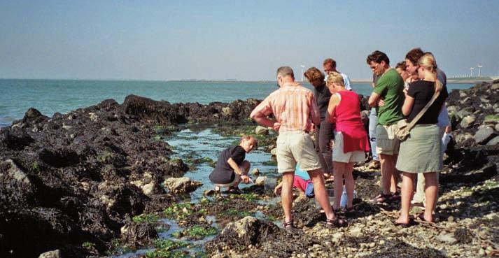 Door meer ruimte te bieden voor de natuur is de zeedijk ook aantrekkelijker voor recreanten.