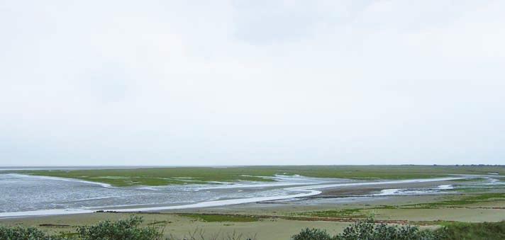 1 3 Kwelderlandschap 6 Te voet is het westelijke deel van de kwelder bereikbaar vanaf het strand en via de dijk.