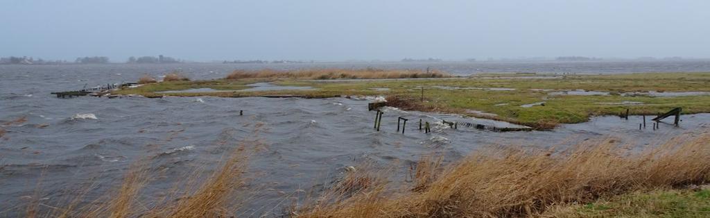 Waterrijk landschap in Waterland, met het Kinselmeer, direct achter de IJsselmeerdijk.
