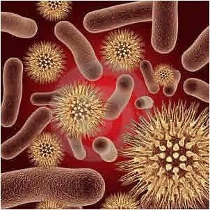 Uitdagingen toekomst Endotoxinen Volksgezondheid/Diergezondheid Kleine onderdelen van micro-organismen Concentratie in EU (Nog) geen toetsingskader