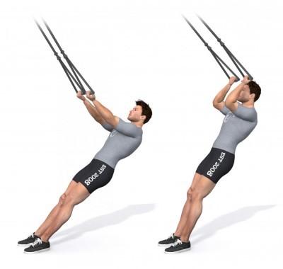 7. Biceps Curl - ST Biceps Coach notitie: -Oefeningen moeilijker maken? Maak de hoek tov de grond dan kleiner.