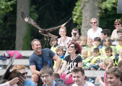 Nieuwe belevingen om het leven van de dieren te ontdekken De teams van Pairi Daiza hebben deze winter extra hun handen uit de mouwen gestoken om nieuwe activiteiten te ontwikkelen met hun dieren.