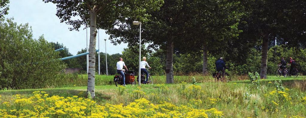 6. U wilt regelmatig reizen maken voor bijvoorbeeld familiebezoek, winkelen, boodschappen of het bezoek aan een ziekenhuis en reist voornamelijk binnen de gemeente.