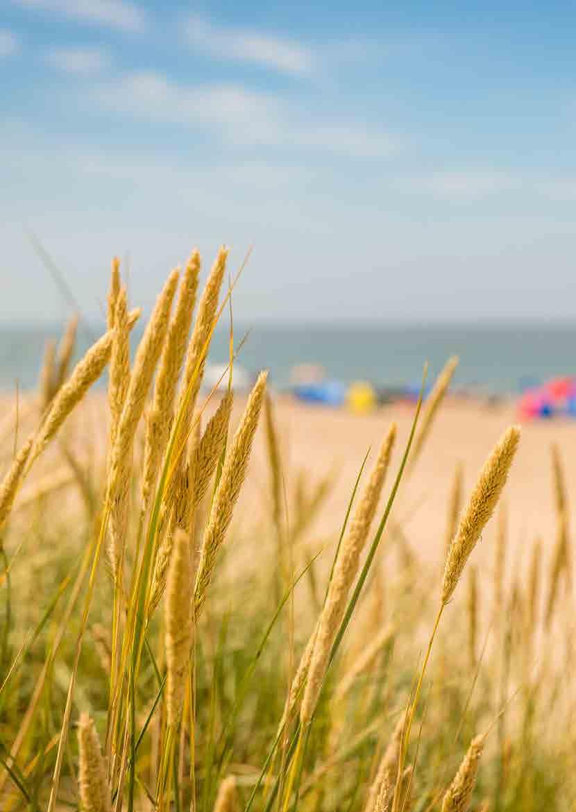 Investeer in dé ultieme strandbeleving aan de Noordzeekust Uitgangspunten voor alle berekeningen Financiële aspecten Naast de overige aantrekkelijke aspecten is een belegging in Noordzee Beach