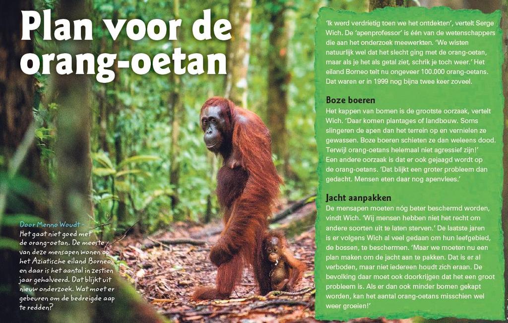 ZOMERBOEKJE 7 Lees het artikel Plan voor de orang-oetan uit Kidsweek. a In welk werelddeel ligt Borneo? b c.. Wat komt er in plaats van de gekapte bomen?