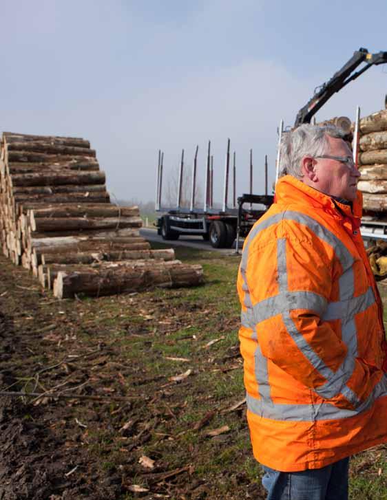 Houthandelaren zijn de schakel tussen bosbeheerders en de houtverwerkende industrie. De handelaren kennen de marktvraag naar hout en proberen die te bedienen.