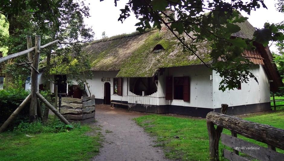 Bewonder demonstraties of steek zelf de handen uit de mouwen tijdens boeiende ateliers (opgelet de ateliers is wel te betalen 5 euro per atelier).