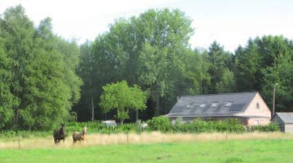Regularisatie bouwovertreding in natuurgebied te Stekene 14 De Papenstraat in Stekene aan het Stropersbos bevindt zich voor een deel in natuurgebied.
