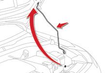Zorg ervoor dat u bij geopende motorkap niet tegen de hendel aan stoot. F Open het linker voorportier. F Trek de hendel aan de onderzijde van het portierkader naar u toe.