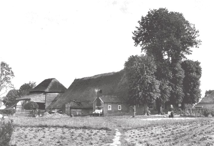 Wat is je oudste herinnering aan het dorp? Die herinnering ligt toch wel in en om de boerderij aan het Oosteind. Onze boerderij is gebouwd in 1701 en is daarmee één van de oudste gebouwen van Vledder.