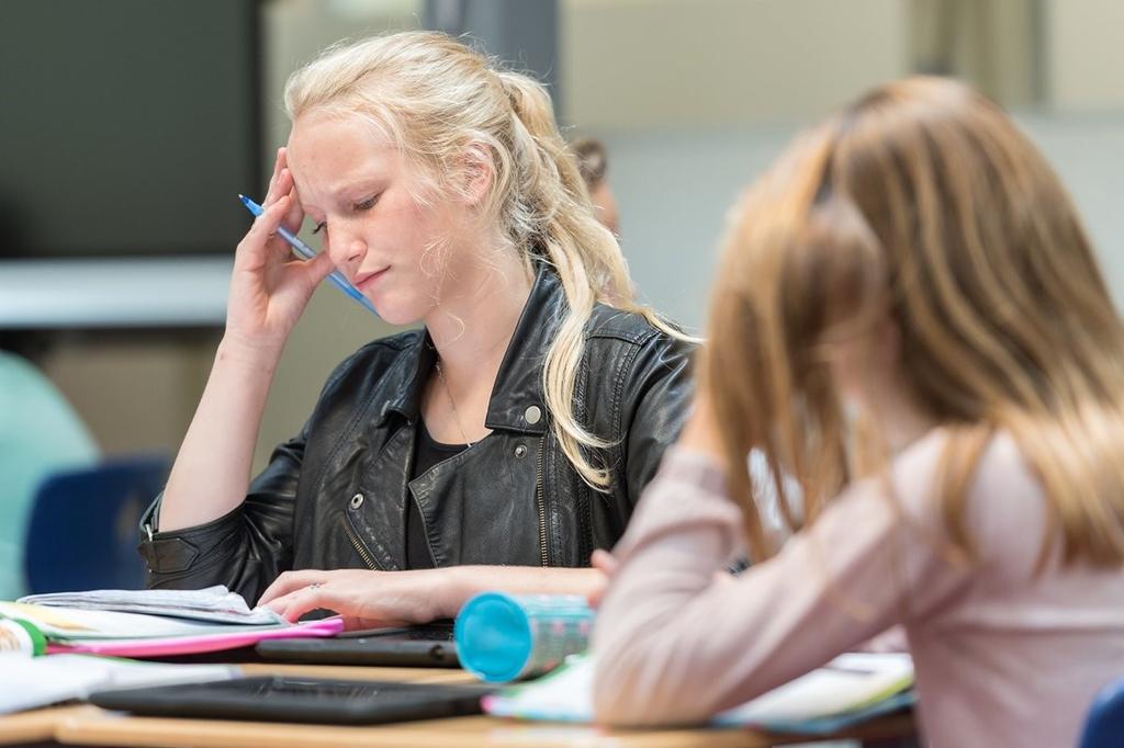 Voorwaarde voor deelname aan de huiswerkbegeleiding is, dat de leerling tijdens werkplein uren, lessen en de huiswerkbegeleiding een positieve werkhouding heeft.