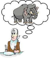 Kortom: Hoe eet je een olifant?