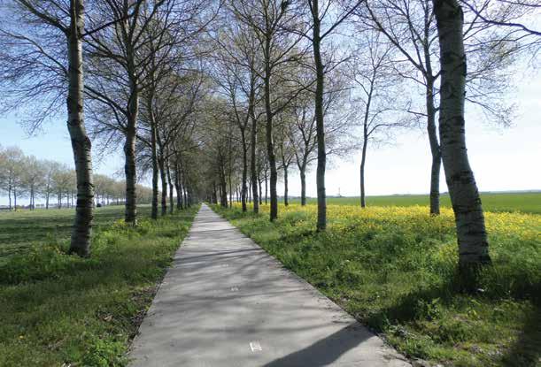 beleef de natuur en het water in Polderwijk Sfeervol wonen tussen het water en groen in Waterkwartier Beleef de natuur in Polderwijk Polderwijk is de nieuwste wijk aan de noordkant van Zeewolde.