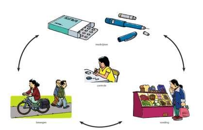 2 Letten op voeding, bewegen en medicatie Vaak