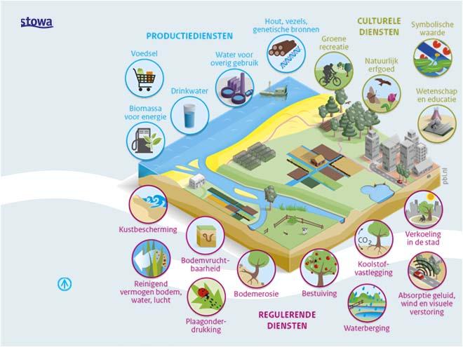 (KRW-)doel blijft GEP Fasering is een optie Ecosysteemdiensten ESF context: Effecten op andere diensten (12 indicatoren, fictief