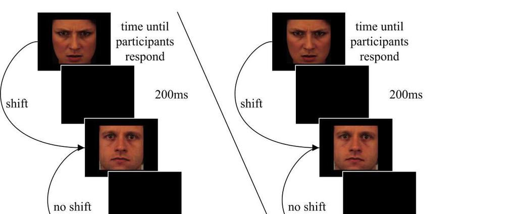 : Internal Shift Task > Shifting > Interne Hypothesis Shifting weg in het werkgeheugen Emotie Conditie Geslacht Conditie Transcranial Direct Current