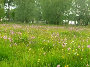 Kruibeke-