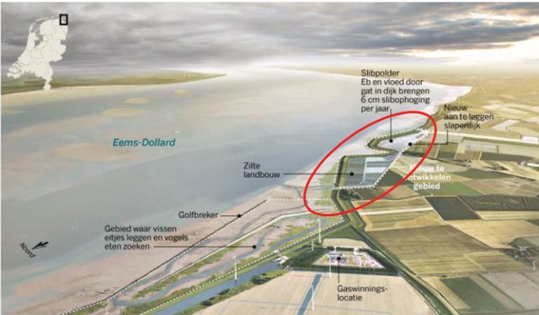 1 Inleiding 1.1 Aanleiding Beheerders van primaire waterkeringen dienen tenminste eens in de twaalf jaar de keringen te beoordelen of deze voldoen aan de veiligheidseisen.