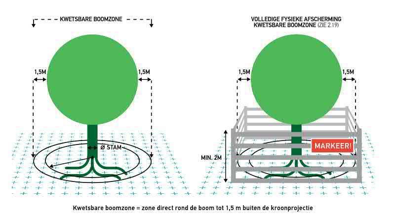 Datum januari 0 Kenmerk G.00-RAP-Bomenonderzoek Pagina van Specifieke eisen bij Werken rond Bomen.