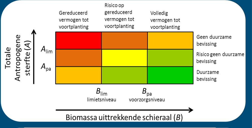 ...streefwaarden en limieten EU Aalverordening.. EU Aalverordening B lim = 4% (3% standaard - ICES 5%) A lim = 4% als stock is hersteld!