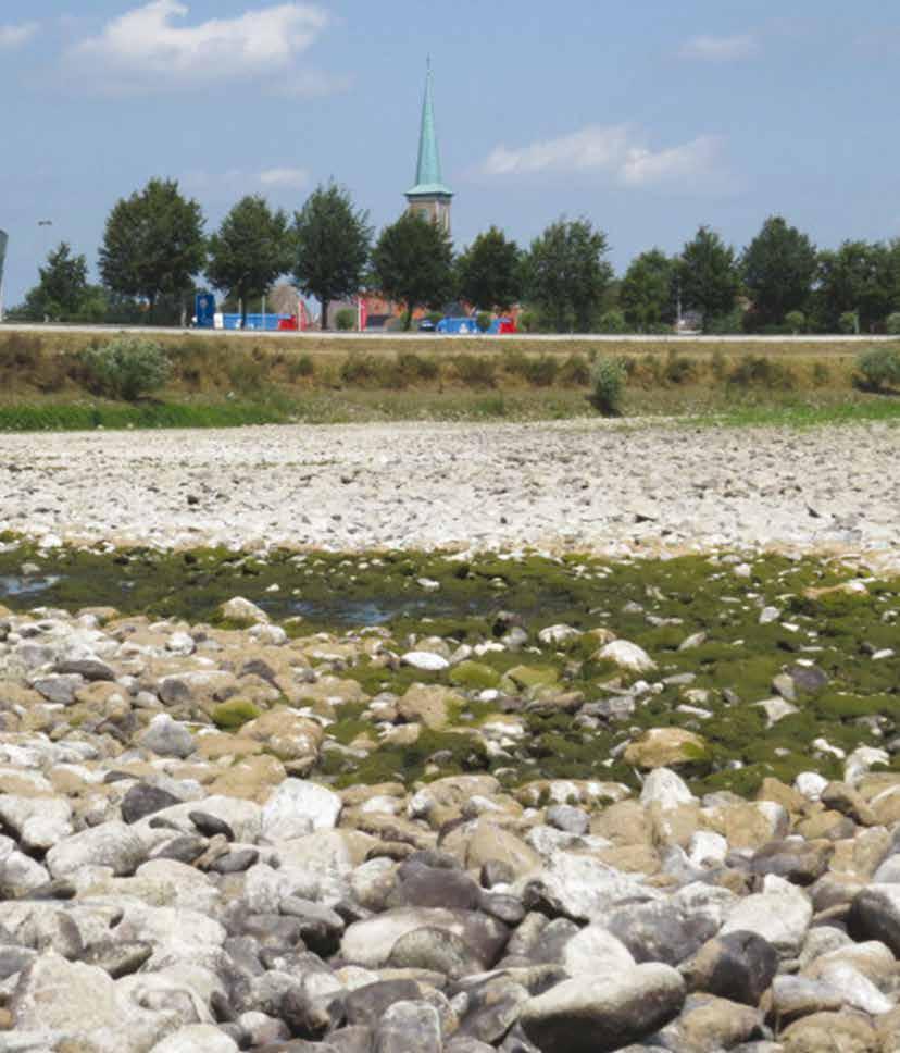Extreme droogte zorgt al voor watertekort RIWA-Maas Het is al extreem droog in Vlaanderen, zegt een droogterapport.