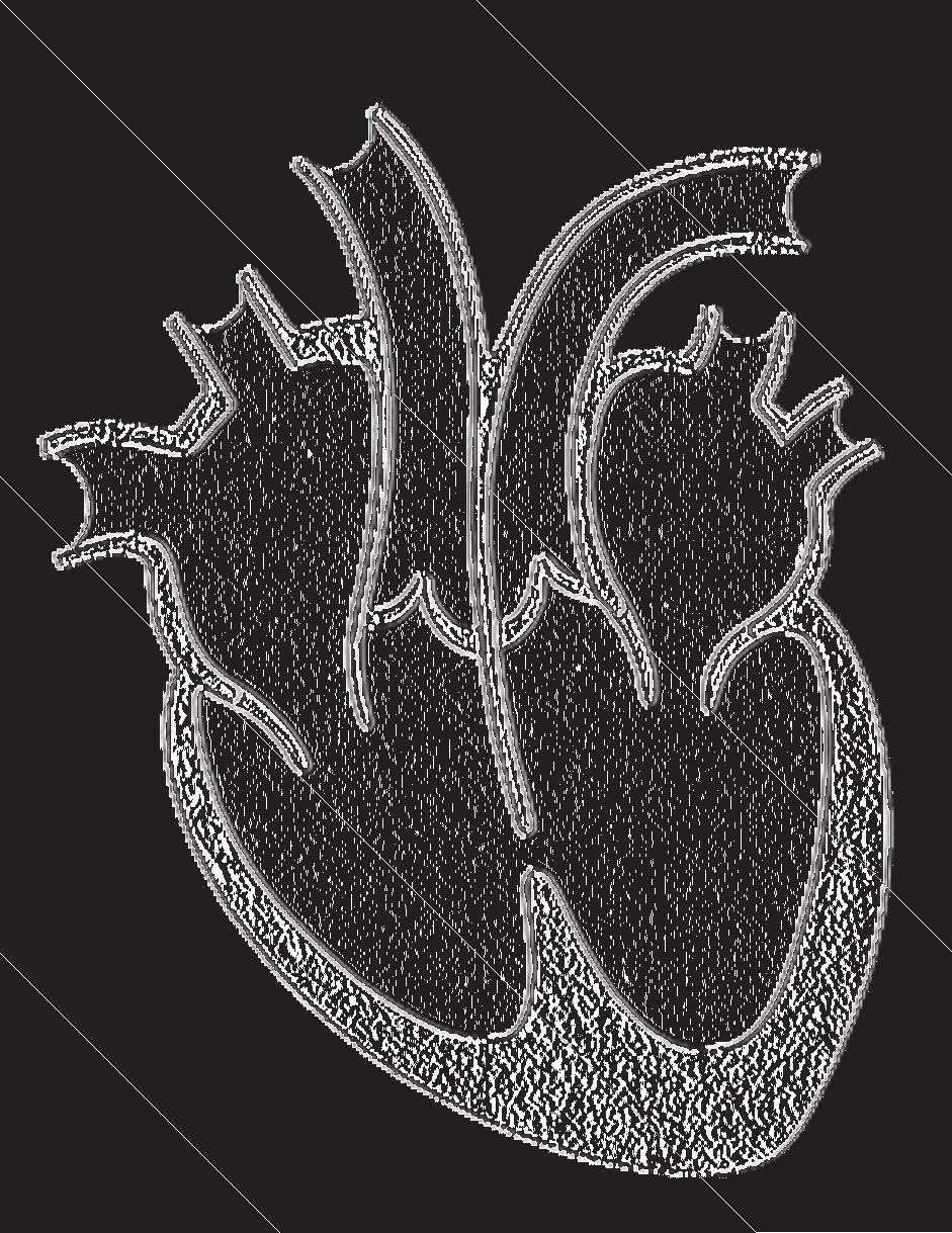 keuzeopdracht 17 Joran is geboren met een hartafwijking. Hij heeft een opening in de tussenwand van het hart (zie afbeelding 13). Als de hartkamers zich samentrekken, stroomt er bloed door de opening.