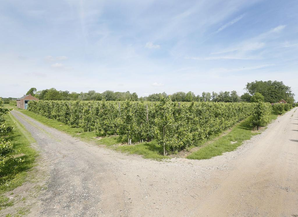 Bouwblok + boomgaard TE KOOP Van Heemstraweg 0 ong Deest 05.50.