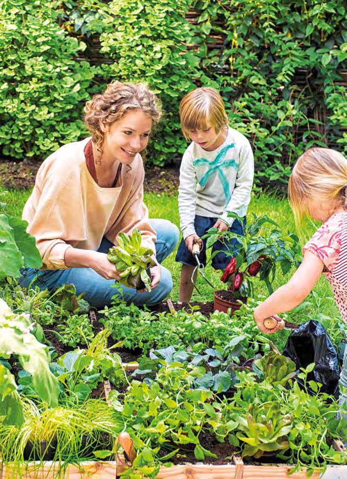 Potgrond Universeel Potgrond Mijn Moestuin Moestuingrond Consumer Consumer Pokon Potgrond Langwerkend Potgrond voor binnen- en buitengebruik. Meststof voor 180 dagen. Nieuw!