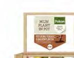 Pokon MPS Aanplantgrond Tuinplanten Bio 40L Pokon MPS Bemeste Tuincompost Bio 40L POTGROND Het belang van potgrond is groot, voor de plant, uw klant en voor u.