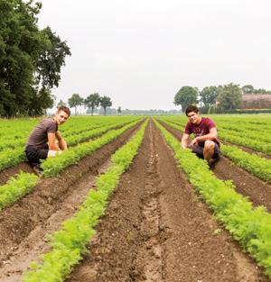 Plant en Business Vakexpert plant en business Niveau 4 Duur: 3 jaar BOL: Ja / BBL: Nee Toelatingseisen: Vmbo-diploma van de kaderberoepsgerichte -, gemengde - of theoretische leerweg.