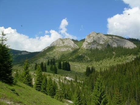 grindweg door het Apuseni-natuurpark heeft een mooie