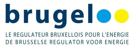 12 van de ordonnantie van 19 juli 2001 betreffende de organisatie van de elektriciteitsmarkt in het Brussels Hoofdstedelijk Gewest, gewijzigd
