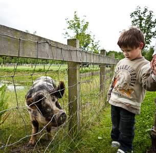 speurtochten, demonstraties en evenementen.