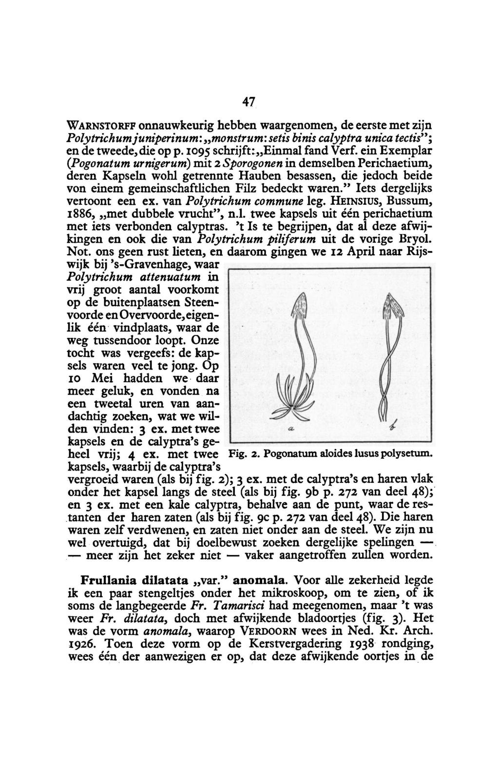 vaker 47 Warnstorff onnauwkeurig hebben de eerste met waargenomen, zijn Polytrichum juniperinum i: monstrum: setis binis calyptra unica tectis ; en de tweede, die op p. 1095 schrijft: Einmal fandverf.