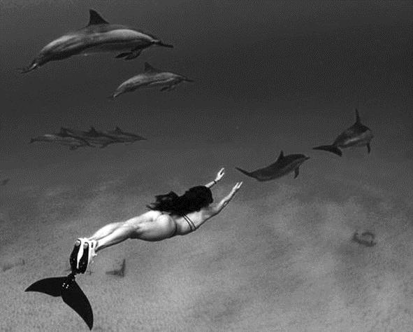 Dolfijn zwemmen Een mono-vin is een rubberen zwemvlies. Met de mono-vin aan je voeten zwem je als een dolfijn. Een zwemmer met mono-vin kan een gemiddelde zwemsnelheid van 13 km/h halen.