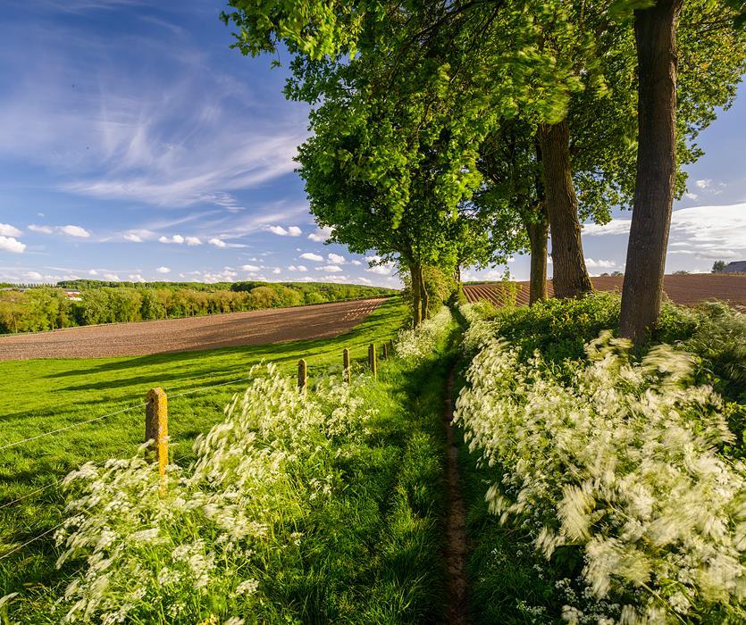 Cursus: tilt-shiftlenzen voor landschaps- en architectuurfotografie Wie aan landschaps- of architectuurfotografie doet, heeft ongetwijfeld al van een tilt-shiftlens gehoord.