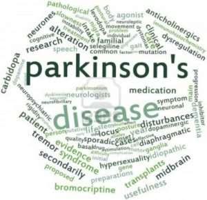 Multi disciplinaire zorg binnen MUMC+ Het Multidisciplinair Parkinson Team bestaat uit behandelaars die gespecialiseerd zijn in de problematiek rond de ziekte van Parkinson.