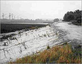 Figuur 3: Scheldewater stroomt over de overloopdijk het GOG van Tielrode in In feite herstelt men door inrichting van GOG s voor een deel de komberging en de werking van het natuurlijke riviersysteem.