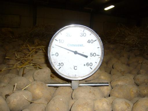 Drogen Niet nodig wanneer de aardappelen droog binnenkomen Correct drogen start met meten!