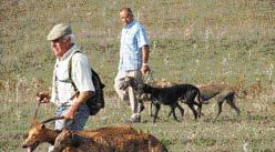 Informatie Meer weten over coursing en windhondenrennen? Kijk dan op: www.windhonden.nl www.raadvanbeheer.nl www.coursing.nl is het een afmattend en dodelijk spel tussen hond en buit.