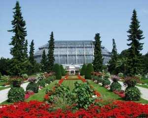 Met de botanische tuin is het Botanische Museum verbonden waarvan een verzameling geprepareerde planten (Herbarium Berolinense) en een wetenschappelijke bibliotheek deel uitmaken.