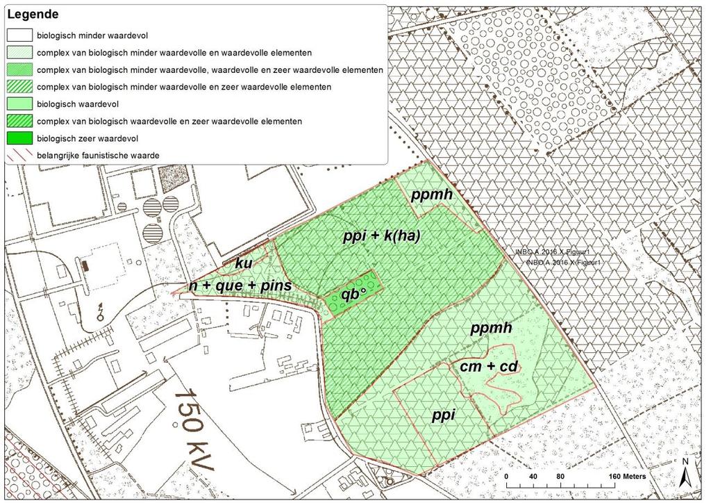 2 Werkwijze De percelen werden bezocht op 9 februari 2016. Ter plaatse werden de BWK-codes toegekend (naar Vriens et al.