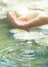 Al meer dan dertig jaar is het ons doel u helder levendig water, zo fris als uit een bergmeer in de tuin te brengen.