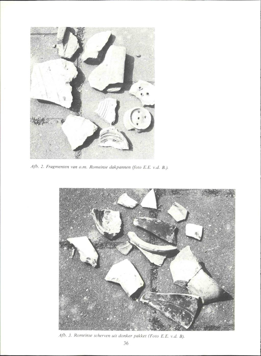 Afb. 2. Fragmenten van o.m. Romeinse dakpannen (foto E. E. v.cl. B.J.