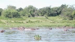 Albert meer / Nyanza meer Op de grens van Uganda met Democratic