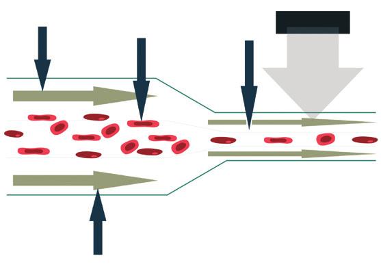 Een dergelijke analyser is eenvoudig te gebruiken omdat alles bestuurd wordt met één software. Bovendien werkt het uiterst stil.