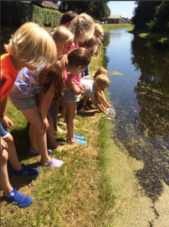 Groep 5 En dan zit de laatste week erop Wat hebben we een fijn jaar met elkaar gehad.