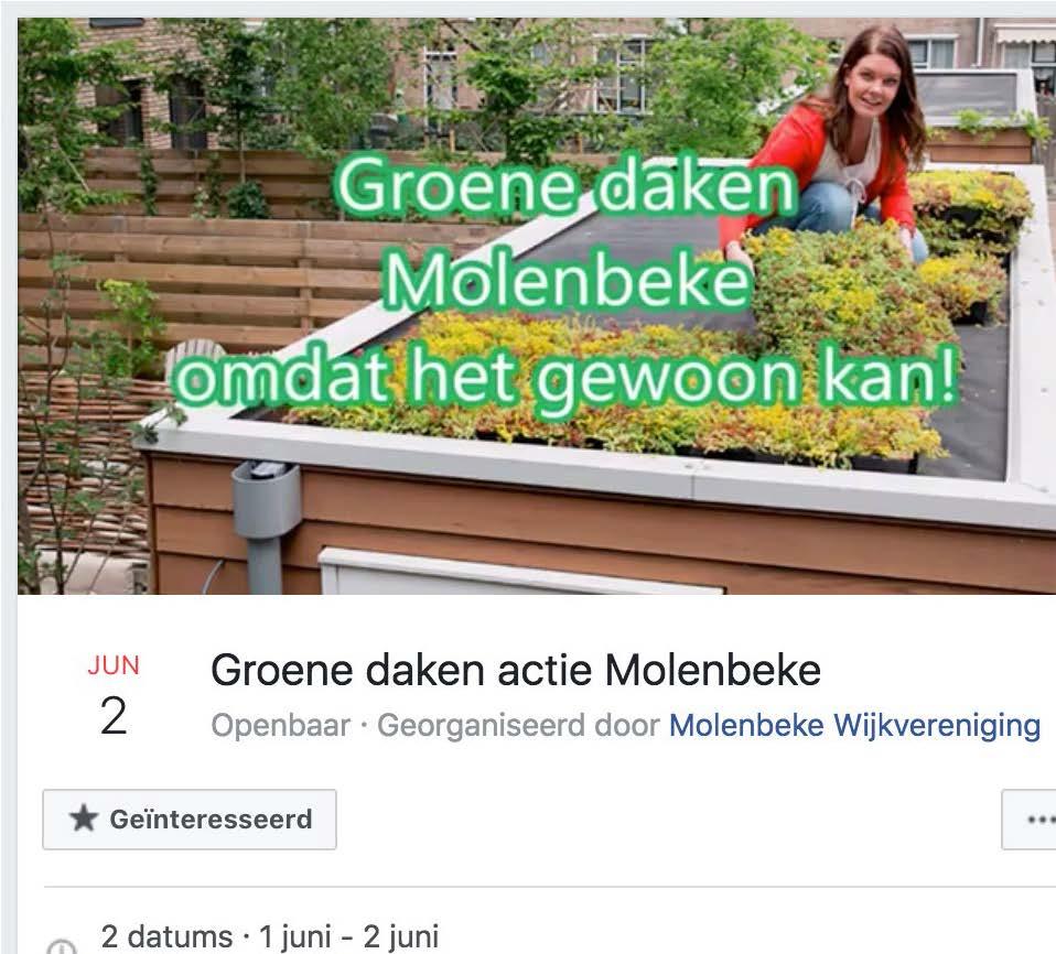 groene daken