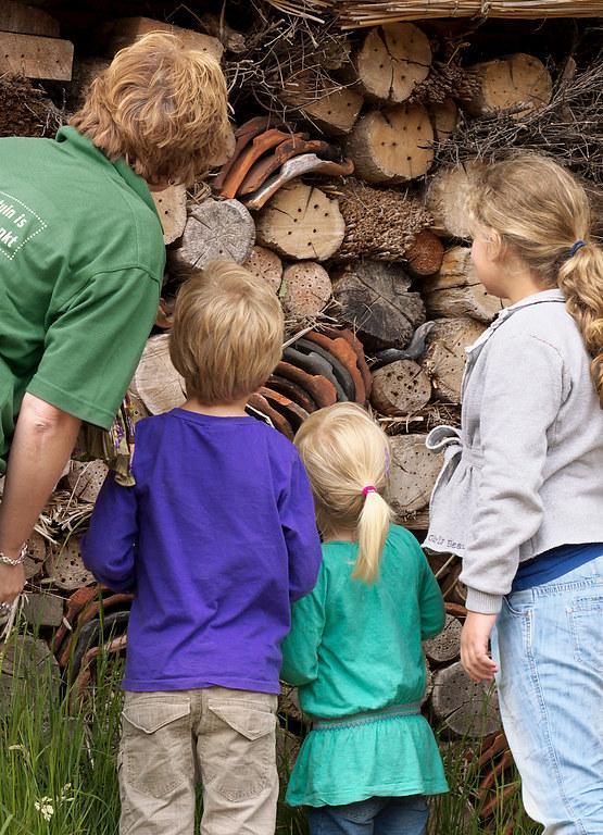 Doordat er verschillende materialen zijn gebruikt, kunnen lieveheersbeestjes, vlinders, oorwormen en pissebedden hier prima logeren. Soms zitten er ook bijen en wespen.