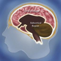 Theoretische modellen Cognitief vs.